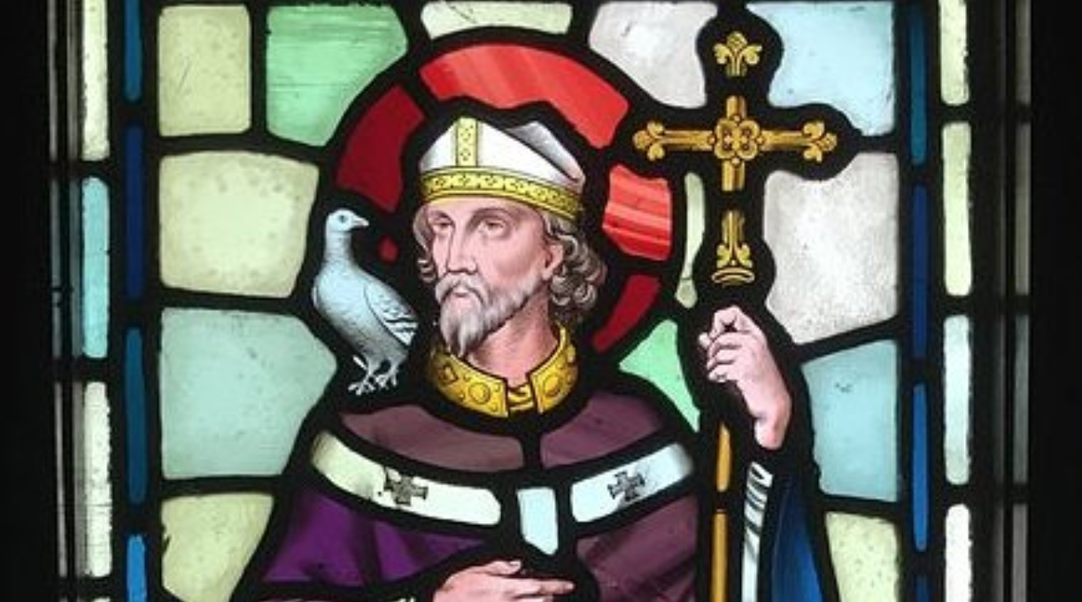 Stained glass depiction of Saint David of Wales. (Wikimedia Commons)