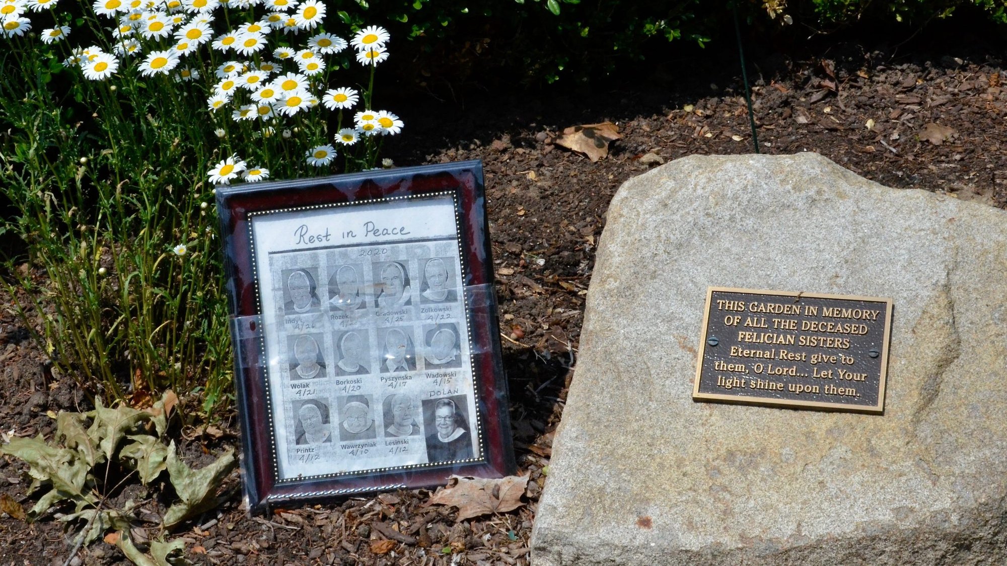 A small memorial for the 12 sisters who died in one month from COVID-19 sits in the garden outside the Felician sisters' convent in Livonia, Mich., June 10, 2020. (CNS photo/Dan Stockman, Global Sisters Report)