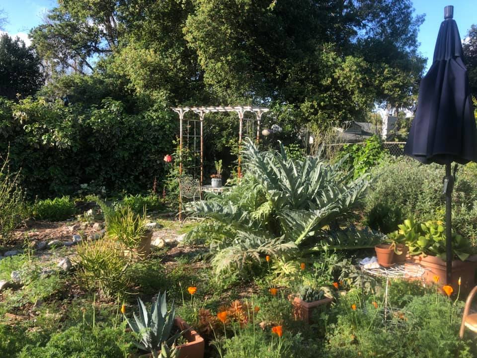 Heather King's garden. (Heather King)