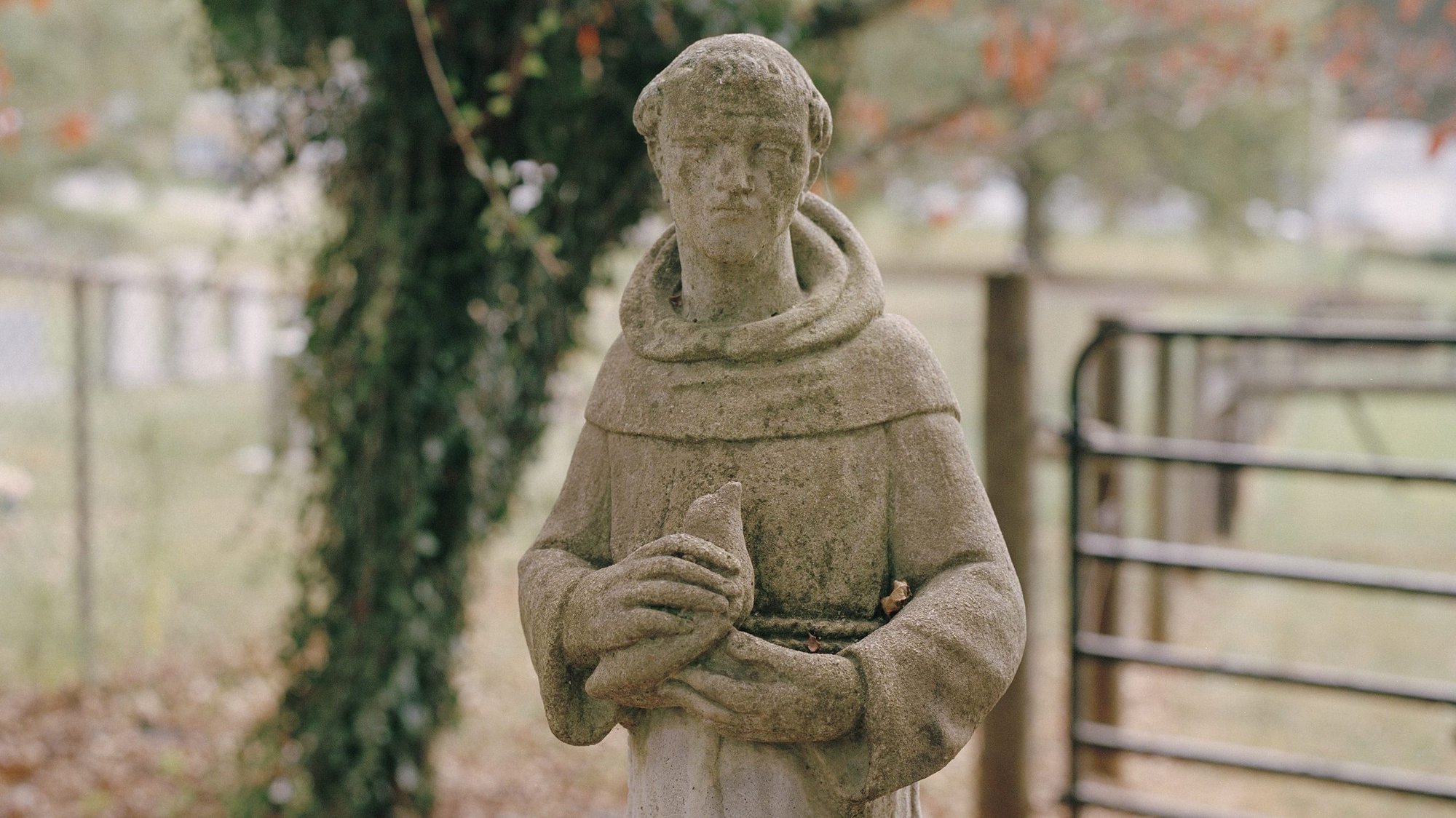 A statue of St. Francis of Assisi is pictured on a farm Oct. 8 in Floyd, Va. His feast day is celebrated Oct. 4. (CNS photo/Isabelle Baldwin)