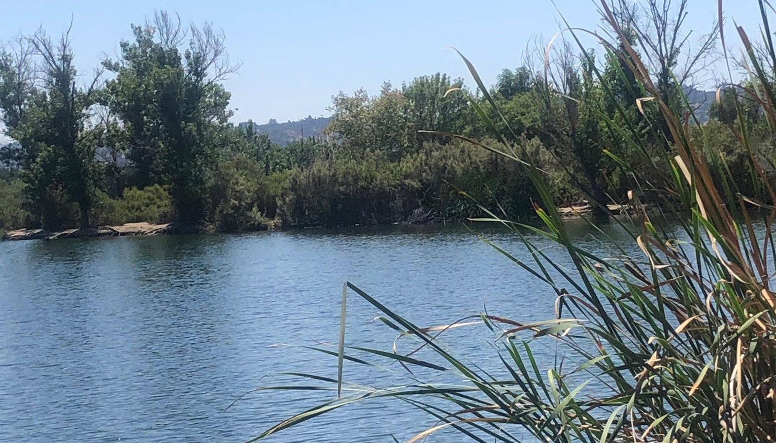 Sepulveda Basin. (Heather King)