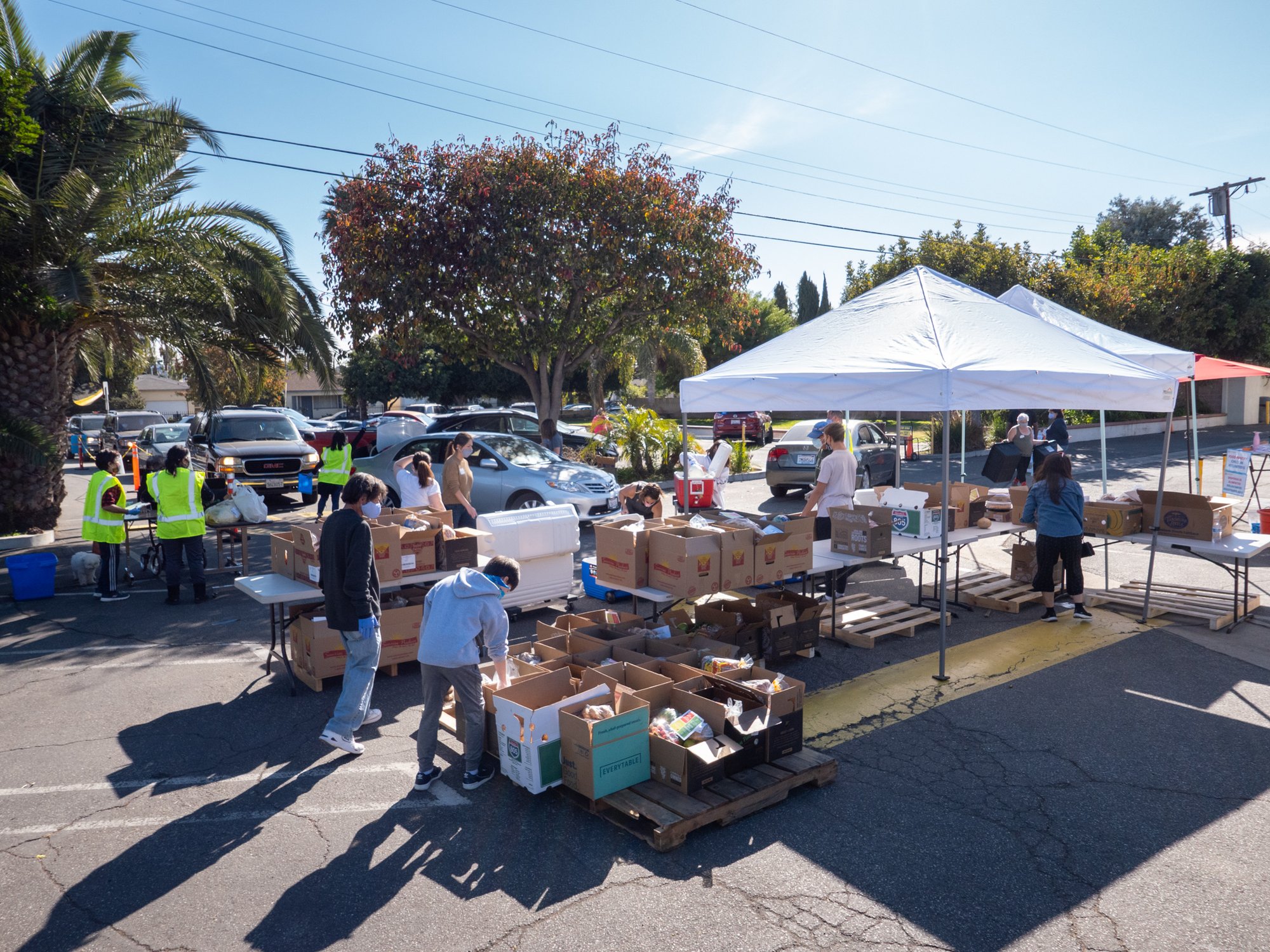 Some 200 cars pass through the parking lot of St. Mark Church in Venice every Saturday to pick up free groceries. Organizers say many of the beneficiaries are families hit hard by the financial fallout of the COVID-19 pandemic. (JohnMichael Filippone)