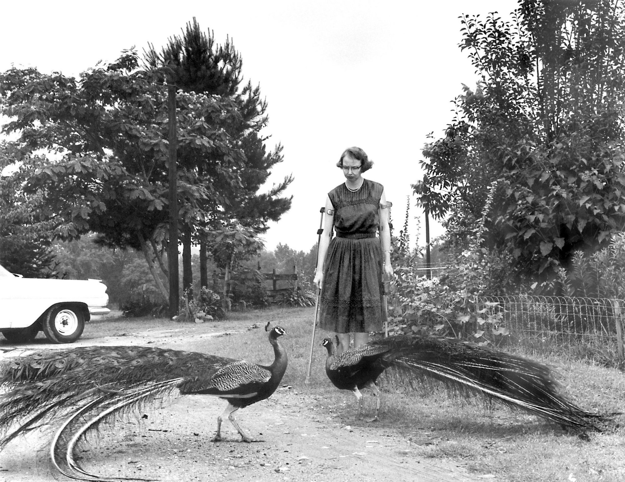 Flannery O'Connor in 1962. (CNS photo/AP Photo, Atlanta Journal-Constitution, Joe McTyre via PBS)