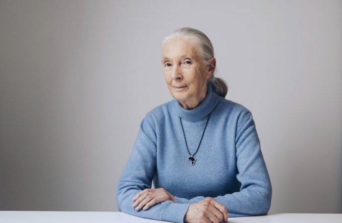 In this April 7, 2017 photo, British primatologist, ethologist, and anthropologist Jane Goodall poses for a portrait in New York to promote the Disney nature film, "Born in China." (Victoria Will/Invision/AP via Crux)