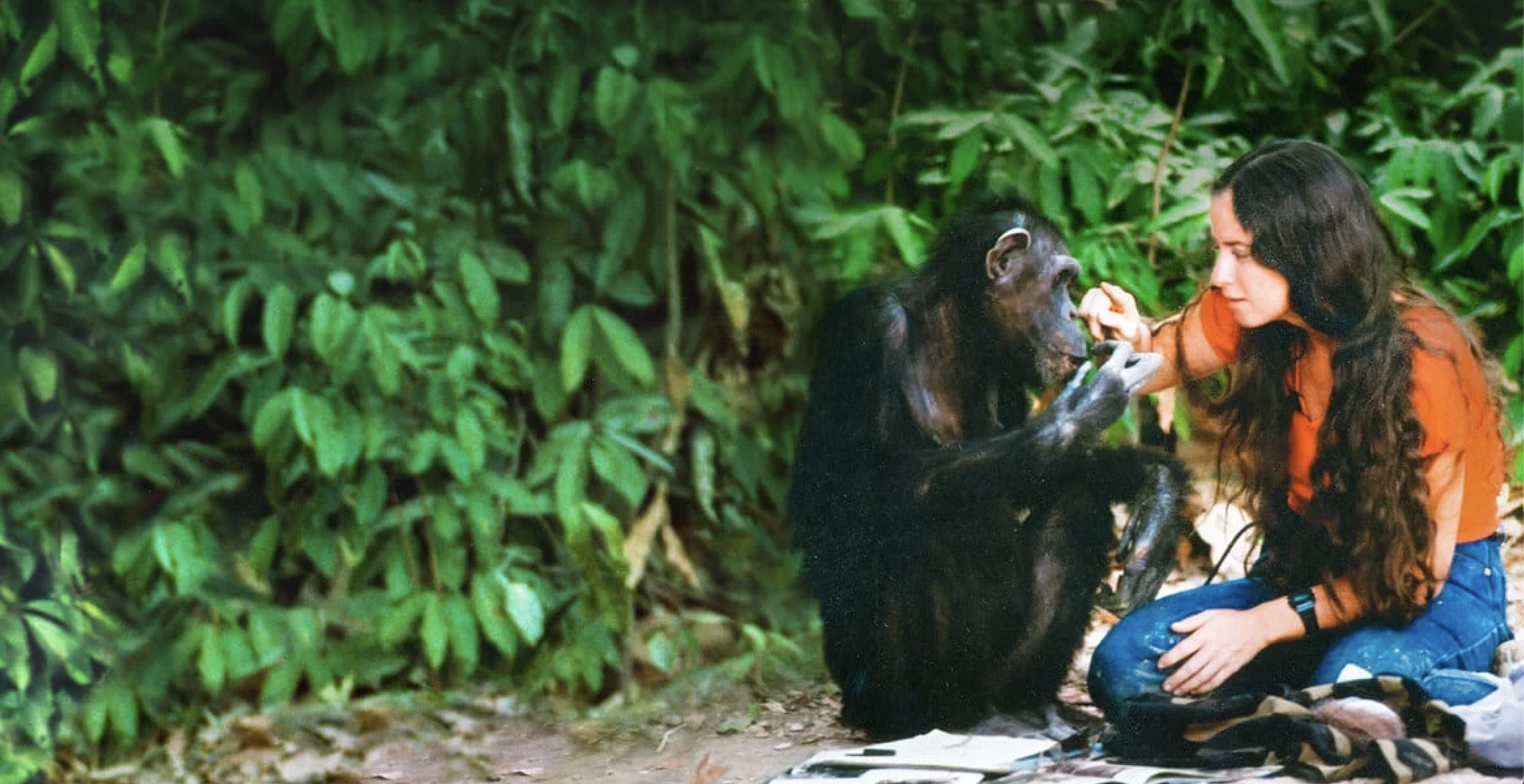 (HBO Max)