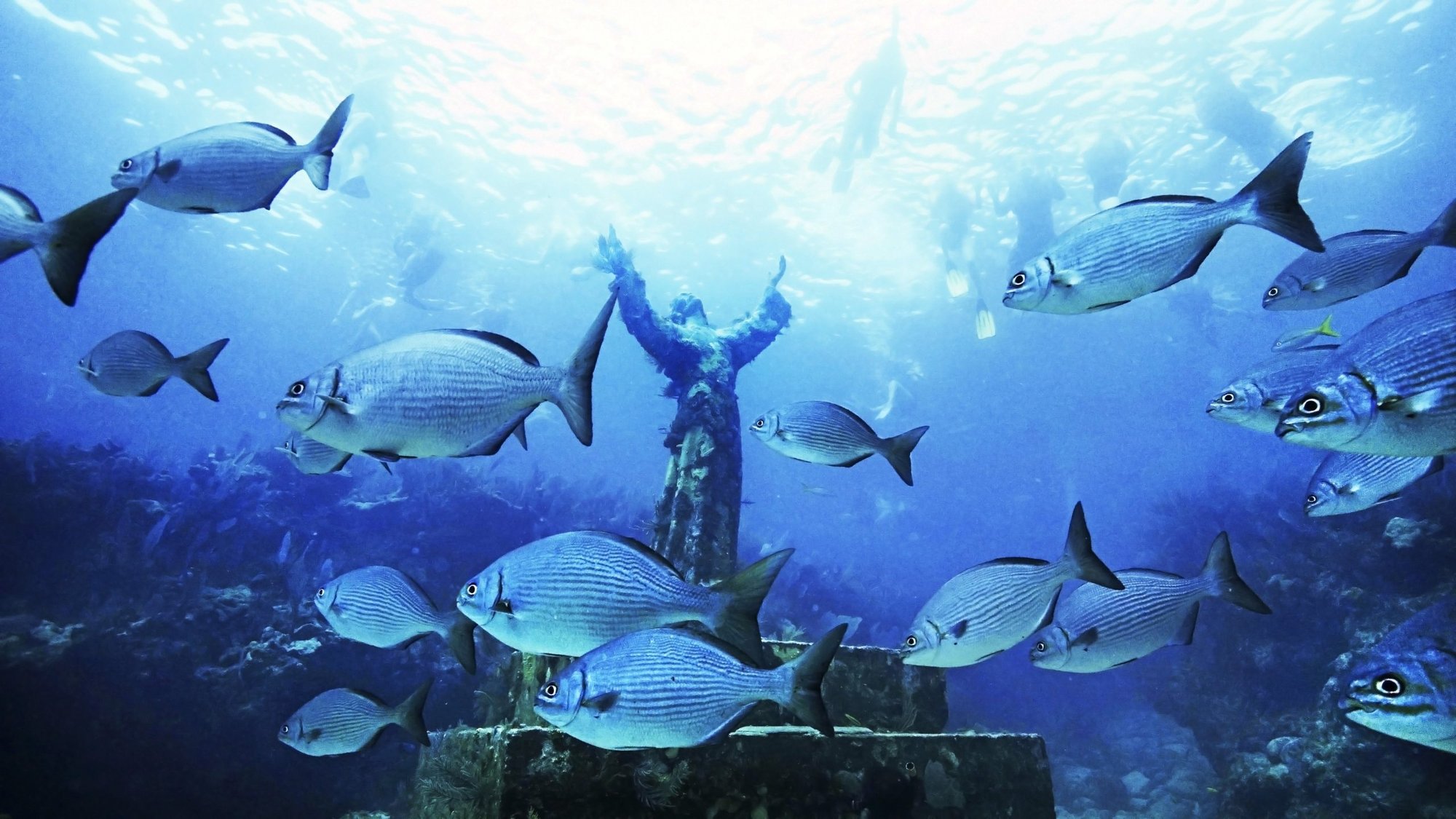 A replica of Christ of the Abyss statue is pictured surrounded by fish in the Florida's Key Largo John Pennekamp State Park. The mold was made from the original statue off the Italian Riviera, where pioneer Italian diver Dario Gonzatti lost his life scuba diving in 1947. At the Italian site there now stands a bronze Christ, created by Italian sculptor Guido Galletti. (CNS photo/courtesy VISIT FLORIDA)