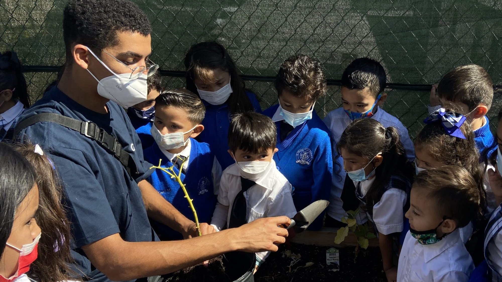 A Catholic Charities staff member shows St. Frances Cabrini second-graders how to properly remove and repot plants from the garden. (Adrian Flores)