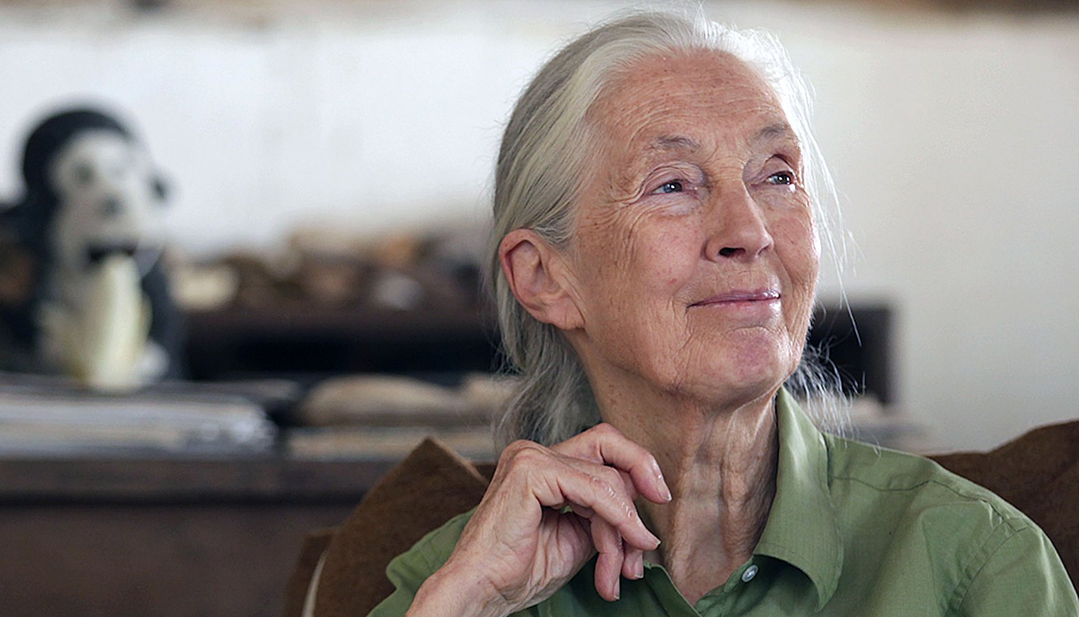 Dr. Jane Goodall in Gombe National Park. (Simon Fraser University/CC BY 2.0 via Flickr)