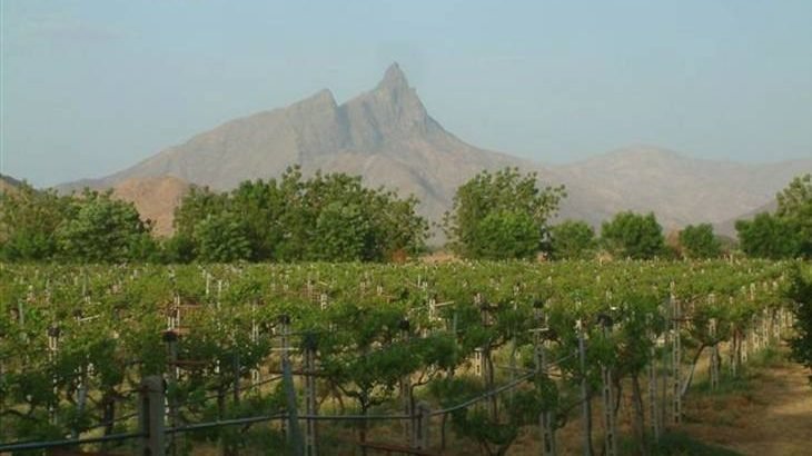 The La Salle Agro-Technical school of Hagaz situated in the Gash-Barka region of Eritrea. (Arcangelo Gentile)