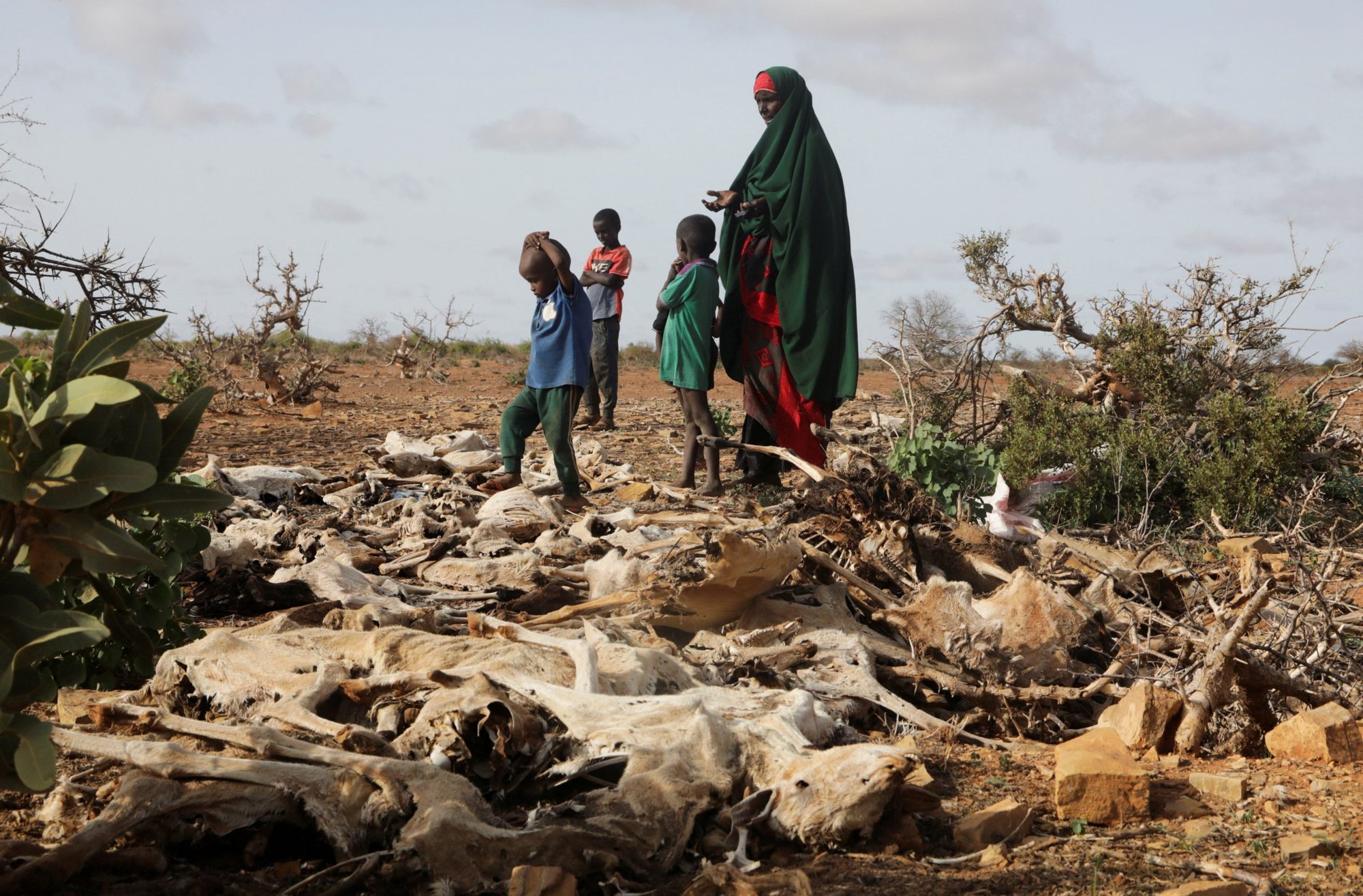 An Somali woman and her children stand near the carcasses of their dead livestock following severe droughts at a camp in Dollow May 24, 2022. Catholic Relief Services is among international agencies warning of famine looming in Somalia. (CNS photo/Feisal Omar, Reuters)