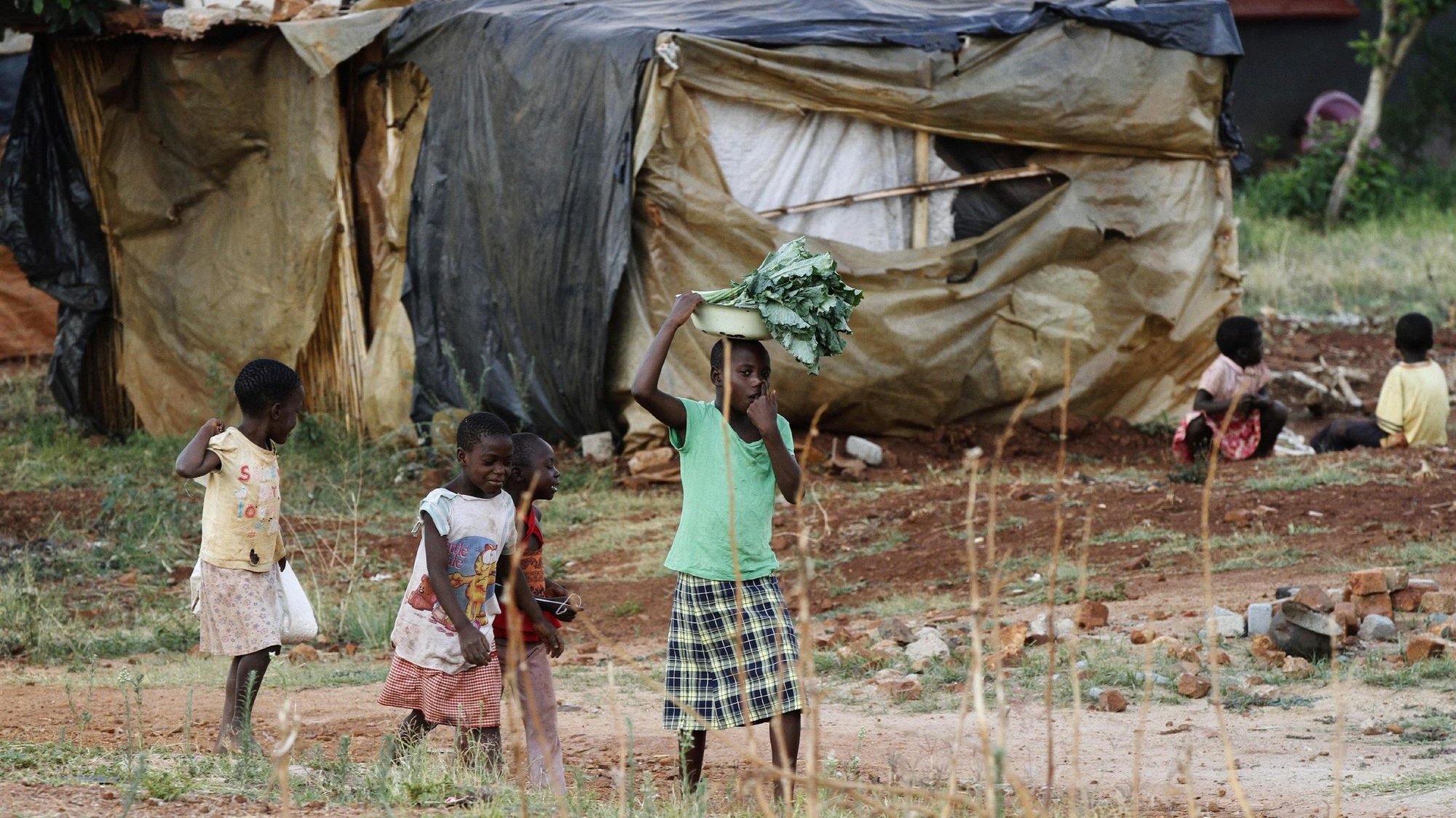 Zimbabwean children are pictured in a file photo carrying vegetables as they walk past a house in Harare. A humanitarian official who works in Southern Africa said churches must offer a unified regional response to the problems crippling development in the region. (CNS photo/Philimon Bulawayo, Reuters)