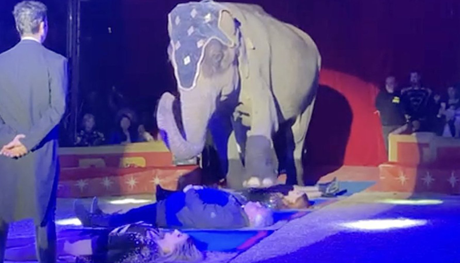 circus