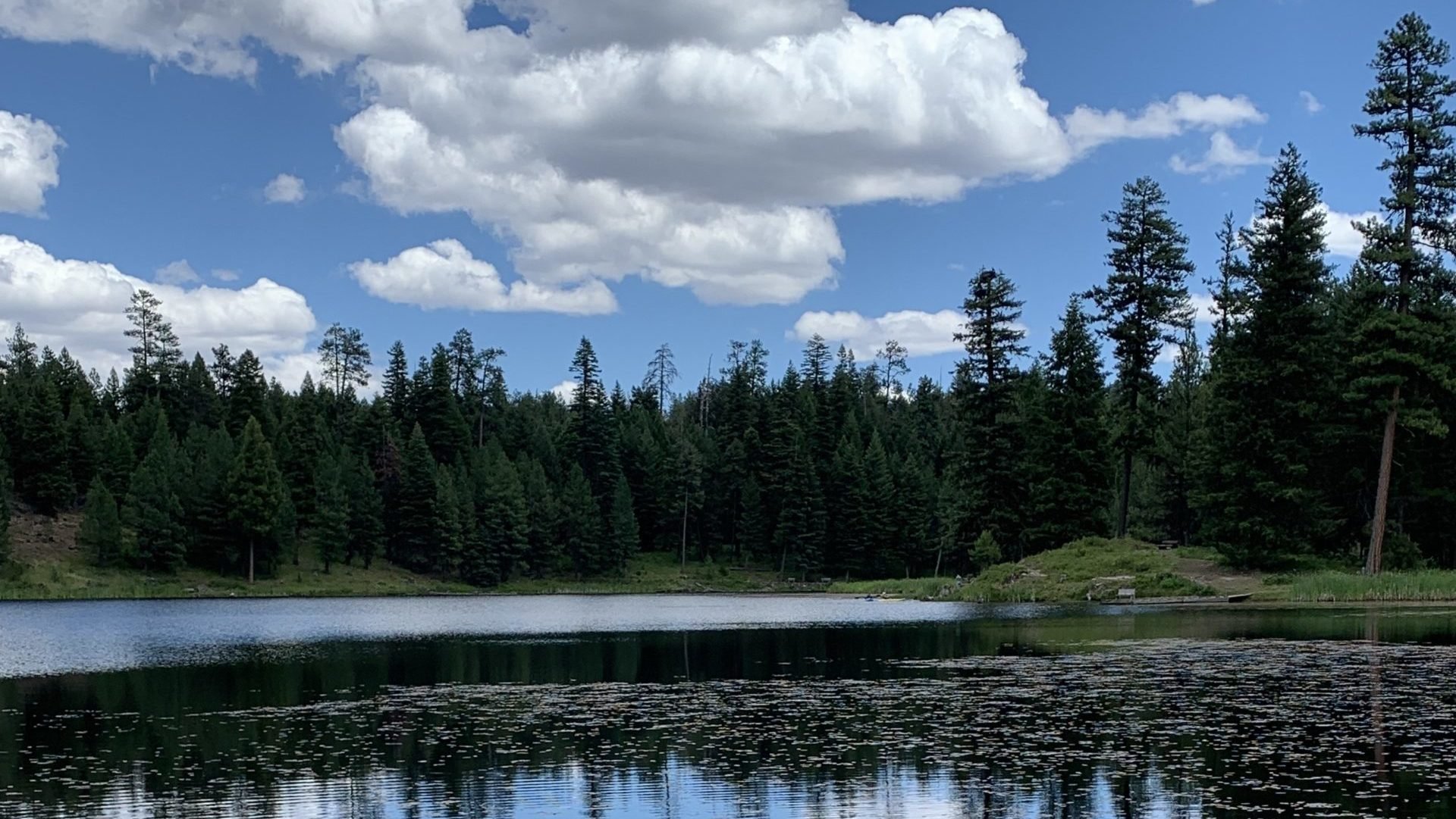 Laudato Si'
