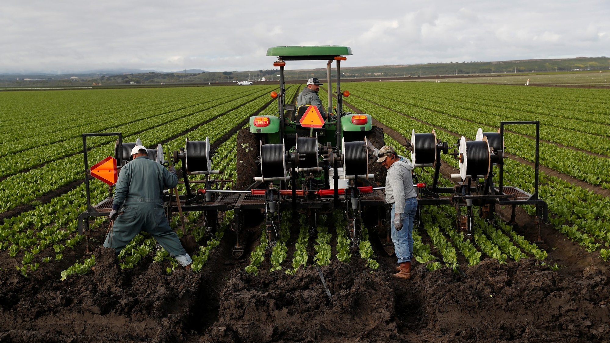 Agricultural workers labor in a Marina, Calif., field March 30, 2020. (CNS/Shannon Stapleton, Reuters)