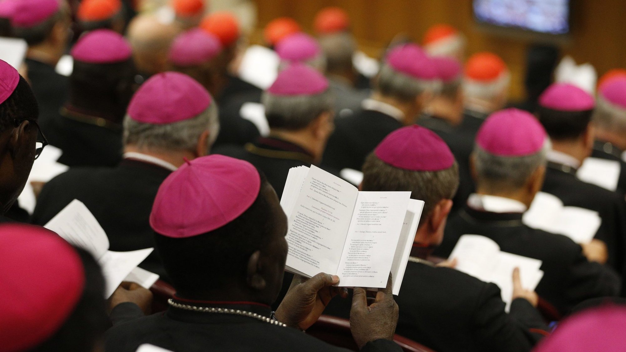Bishops pray at the start of a session of the Synod of Bishops on Young People, Faith and Vocational Discernment at the Vatican Oct. 9, 2018. (OSV News file photo/Paul Haring, CNS)