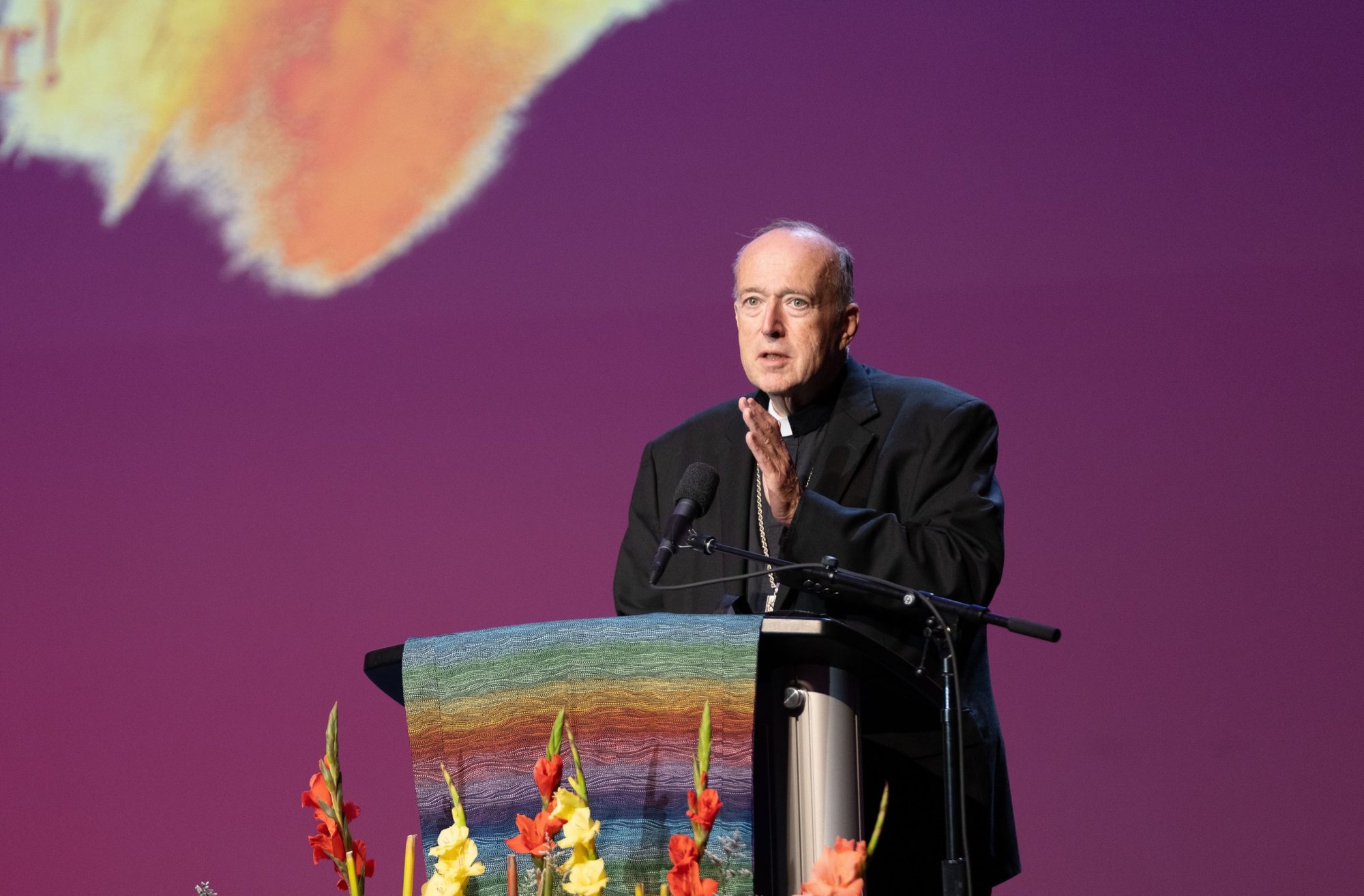 cardinal mcelroy