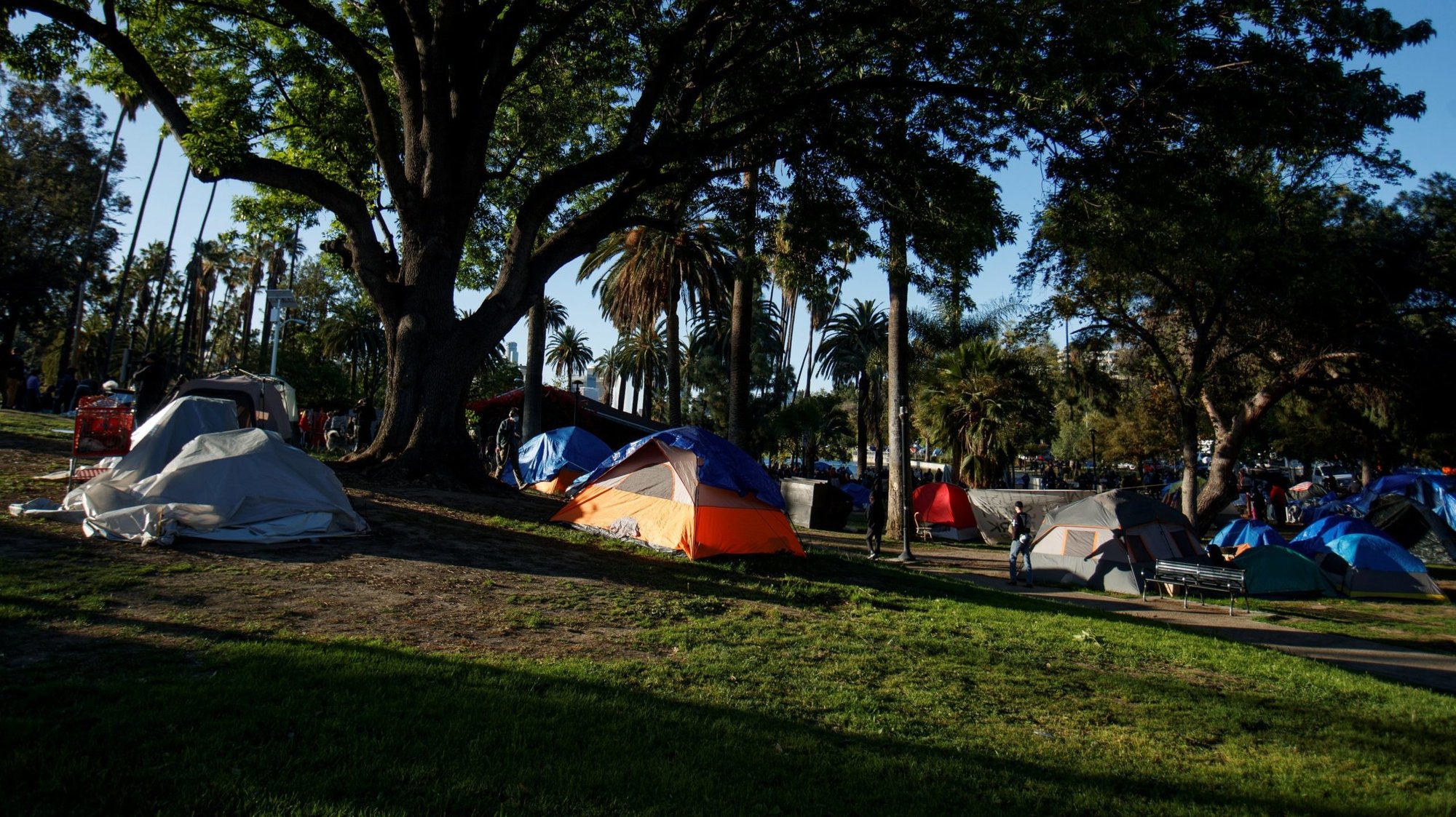 Homeless