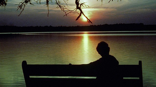 “Enjoying a Sunset Over an Estuary.” Photographer unknown. (Wikimedia Commons)
