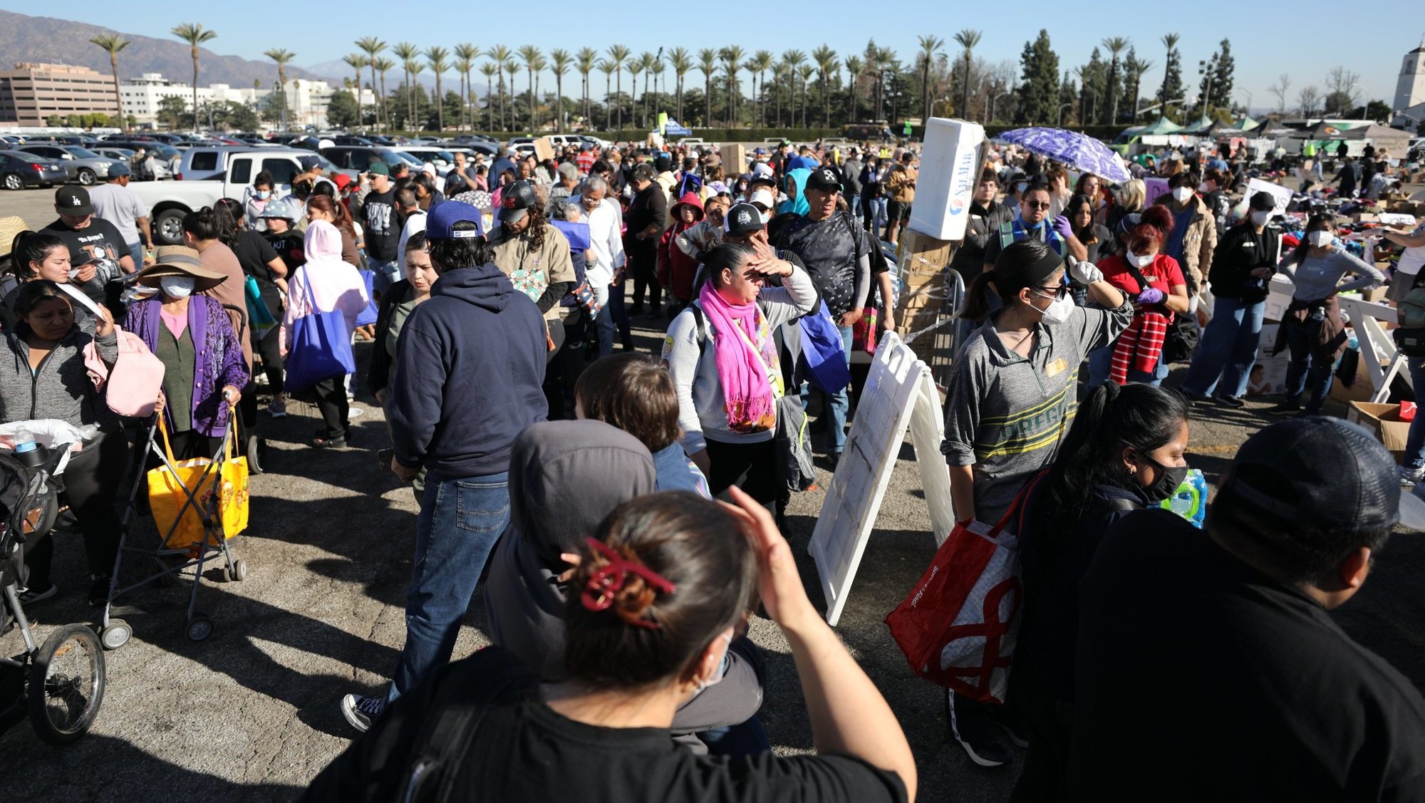 Hundreds of people wait in line for humanitarian supplies at Santa Anita Park in Arcadia, Calif., Jan. 14, 2025, in the aftermath of the Eaton Fire, which began Jan. 7. (OSV News photo/Bob Roller)