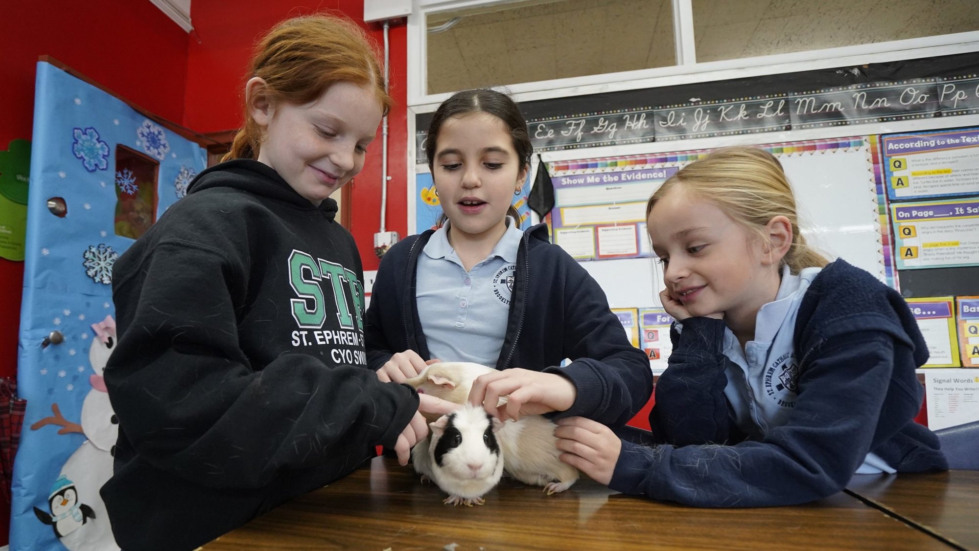 Molly Gallagher, left, Nicolette Labarbera and Riley Ciccotto, fourth graders at St. Ephrem Catholic Academy in the Dyker Heights section of Brooklyn, N.Y., play with their class pets, a pair of guinea pigs, during an open house at St. Ephrem on the first day of national Catholic Schools Week Jan. 26, 2025. The Department of Education said March 11 it planned to cut about 50% of its workforce. Such cuts could also impact Catholic education, experts told OSV News. (OSV News photo/Gregory A. Shemitz)