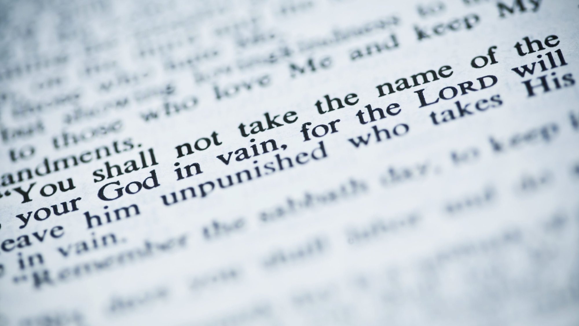 (Shutterstock)