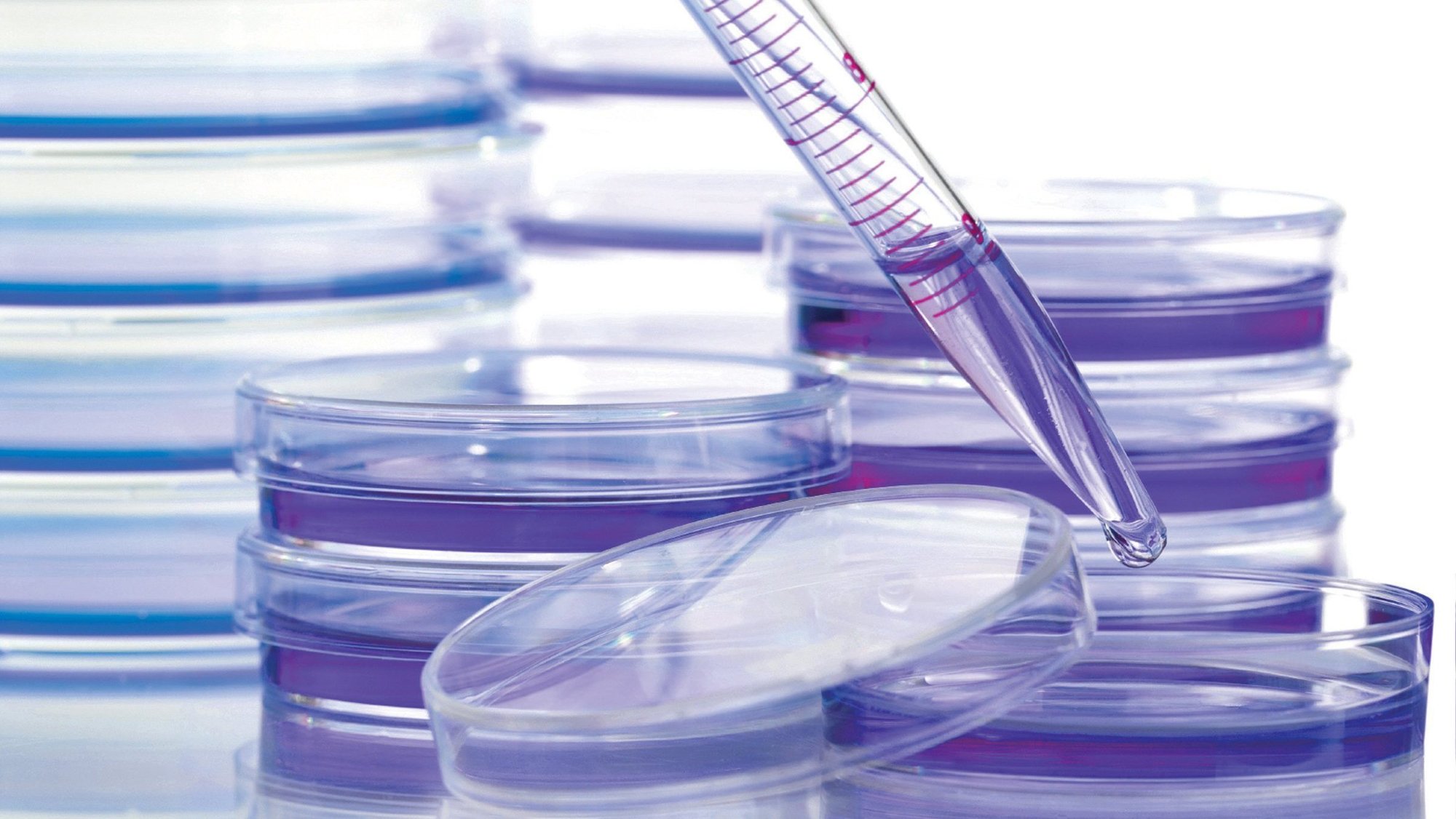 (OSV News photo/Cancer Research UK, Handout via Reuters)