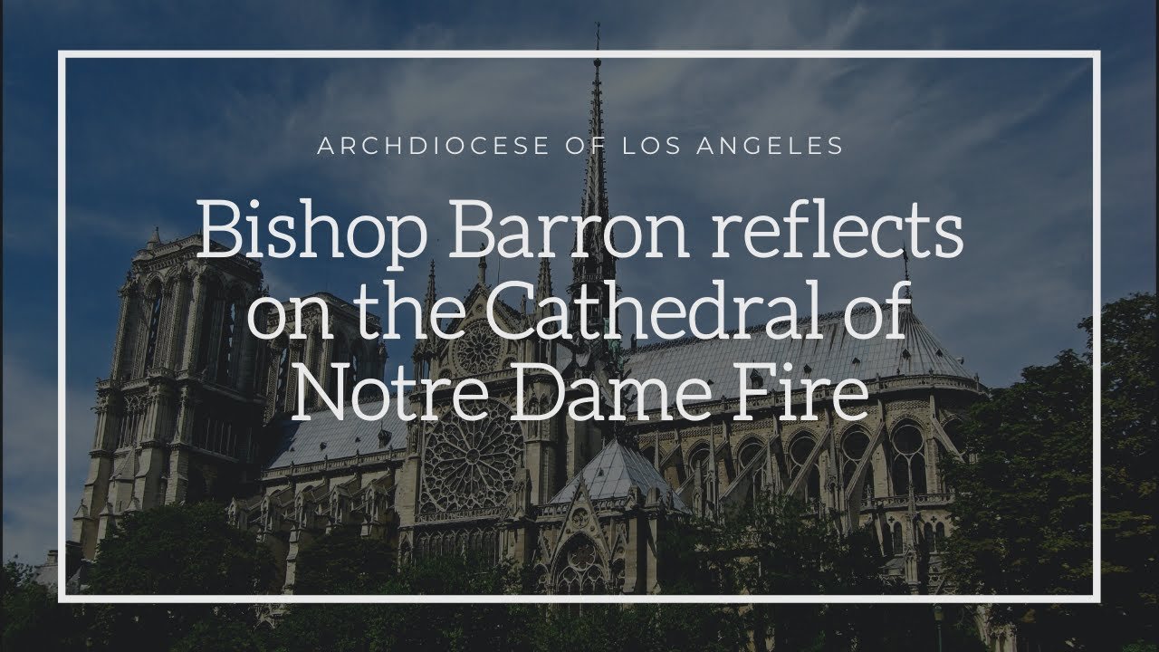 Bishop Barron Reflects on the Cathedral of Notre-Dame Fire