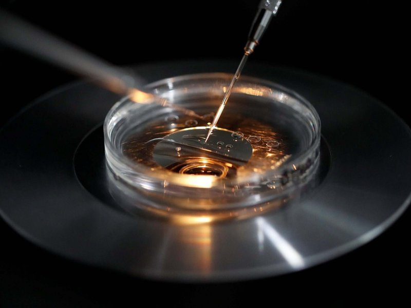 USCCB Urges Trump Administration to 'Advance Real Solutions' Instead of IVF