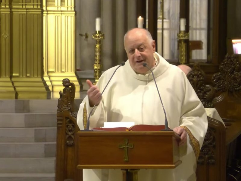 Msgr. LaMorte's Homily: November 13, 2024