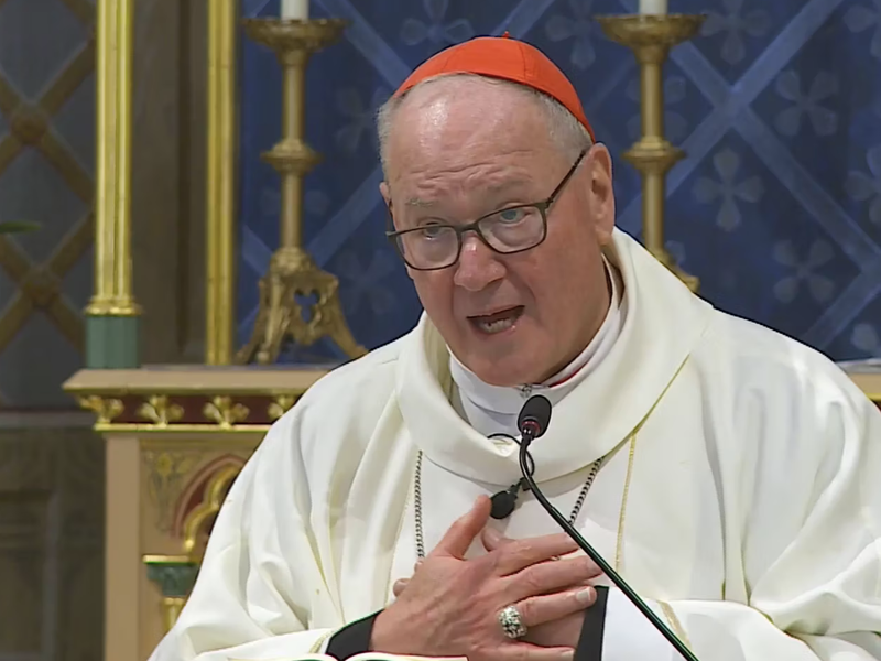 Cardinal Dolan's Homily: April 14, 2024
