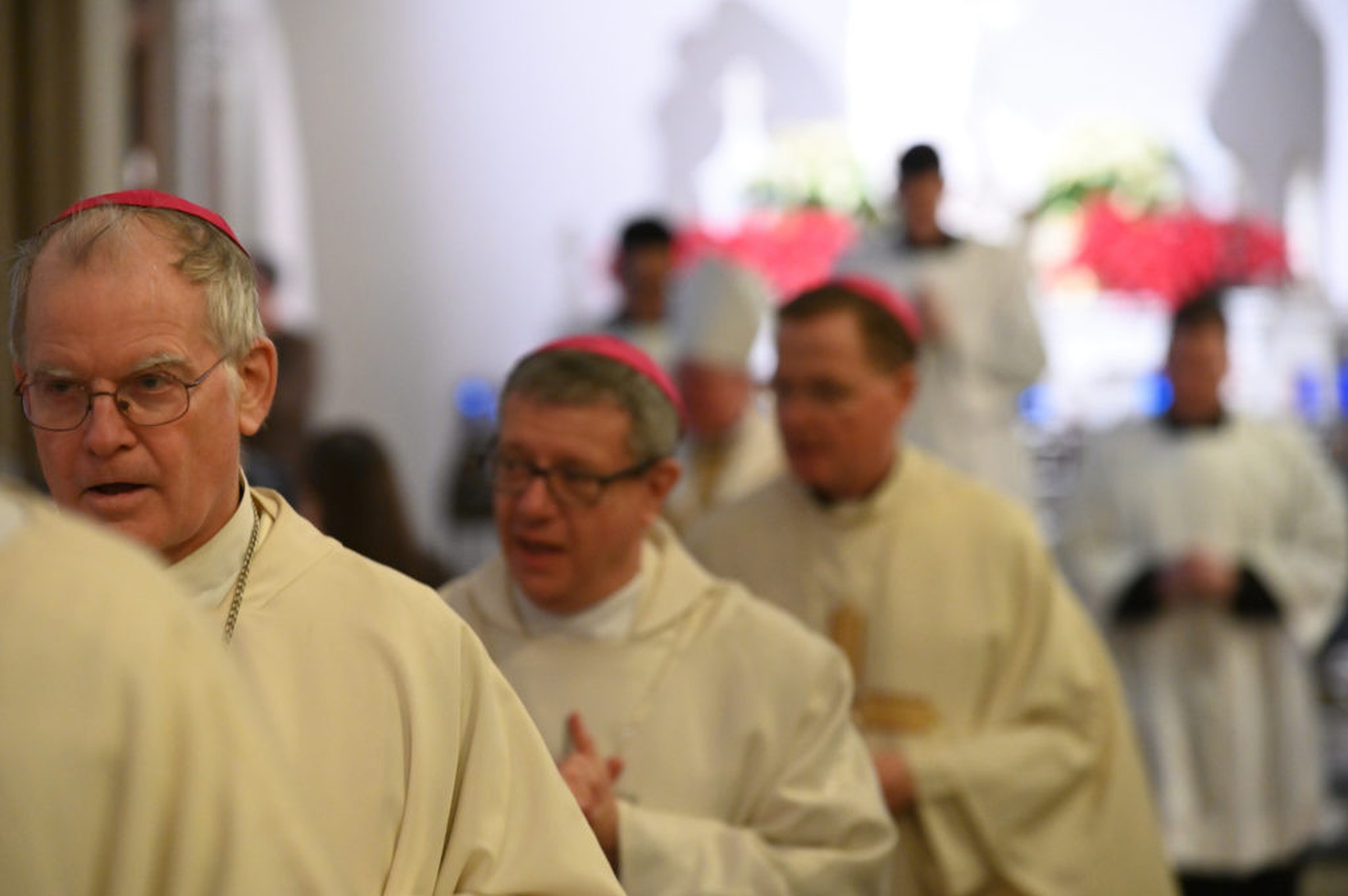 49441006497 a707943ac9 o 1024x681