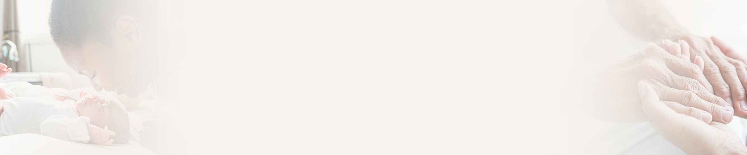 Arch NY website divider bar Respect Life