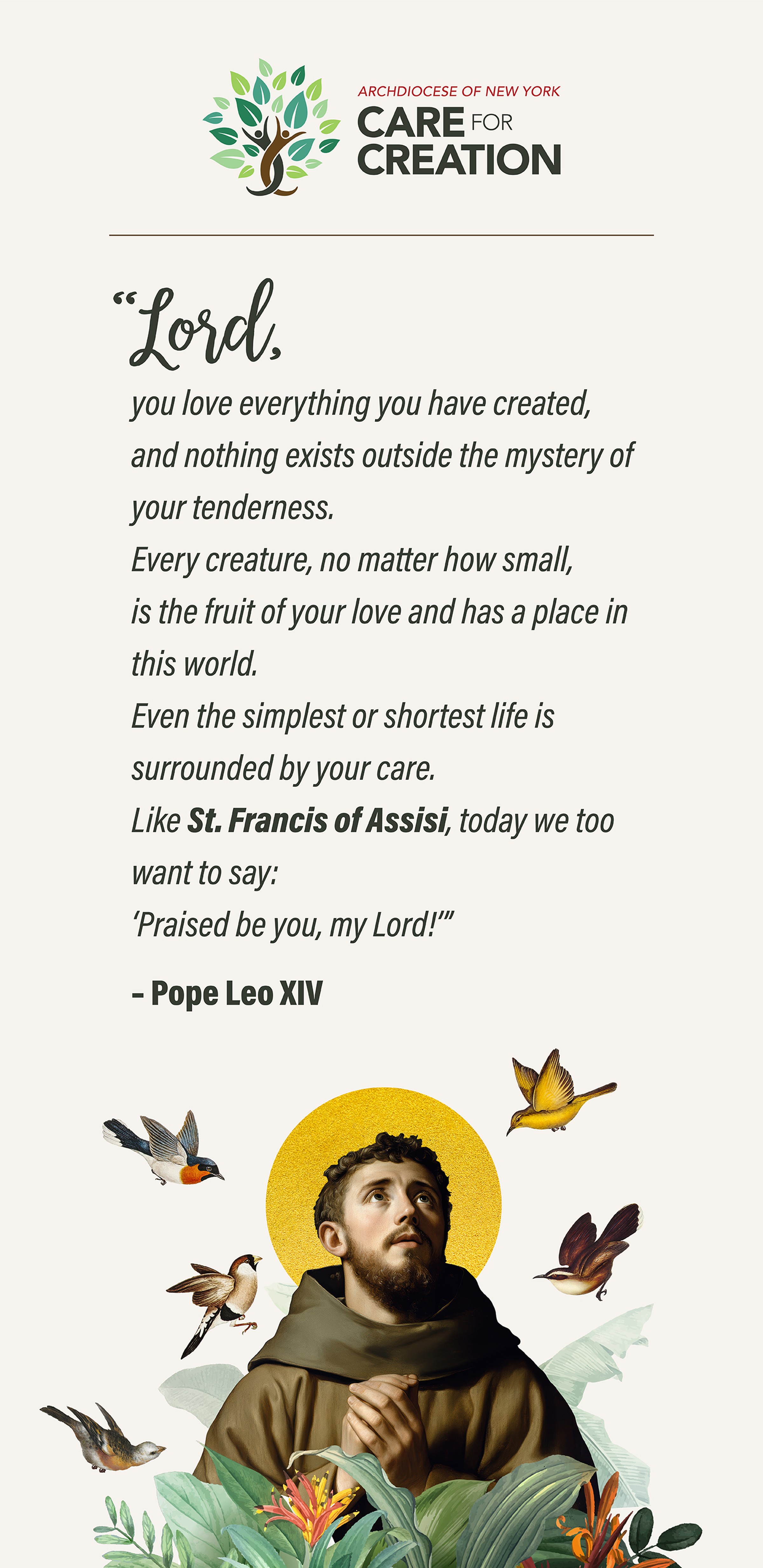 Care for Creation St Francis prayer card Android