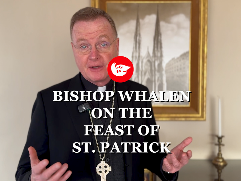 Bishop Whalen’s Message for St. Patrick’s Day