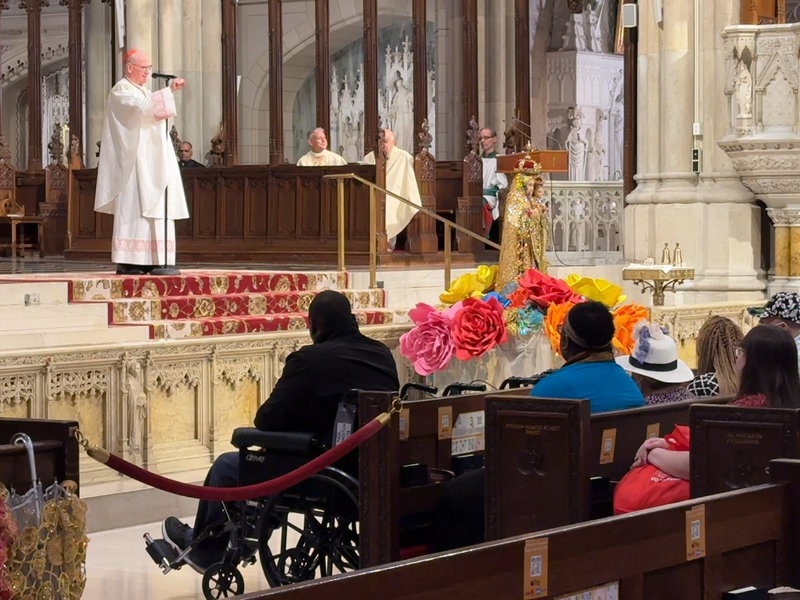 Cardinal Dolan Celebrates Annual White Mass at St. Patrick’s Cathedral
