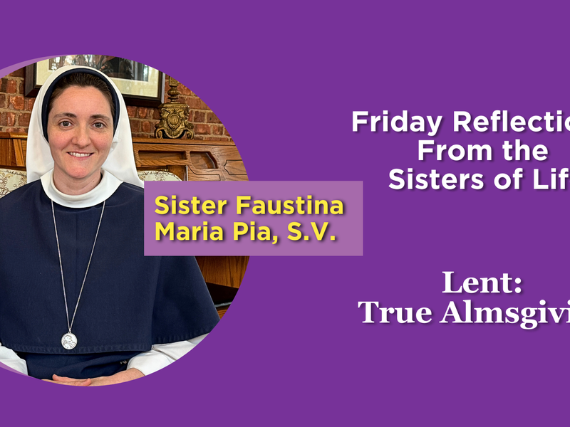 Lent: Friday Reflections From the Sisters of Life