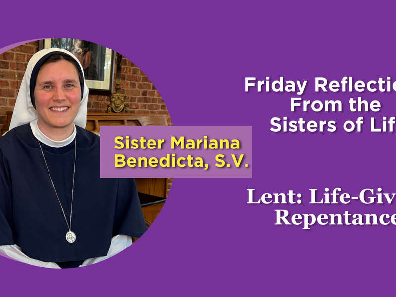 Lent: Friday Reflections From the Sisters of Life