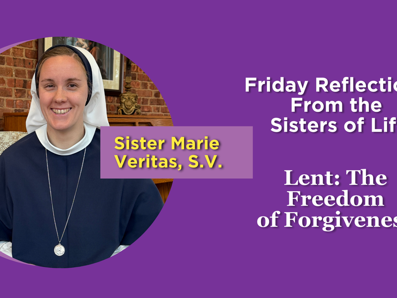 Lent: Friday Reflections From the Sisters of Life