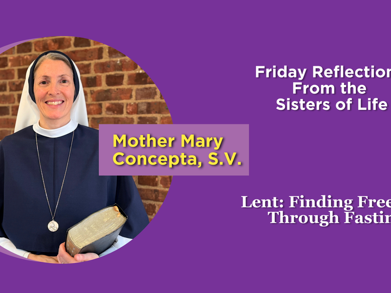 Lent: Friday Reflections From the Sisters of Life