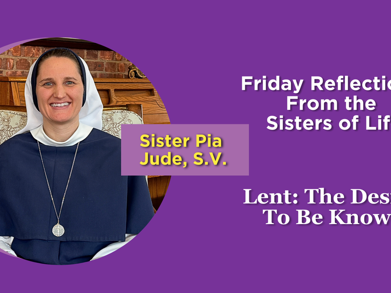 Lent: Friday Reflections From the Sisters of Life