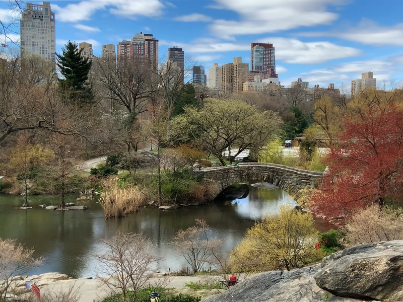 Faith and AI: How Artificial Intelligence Impacts God’s Creation