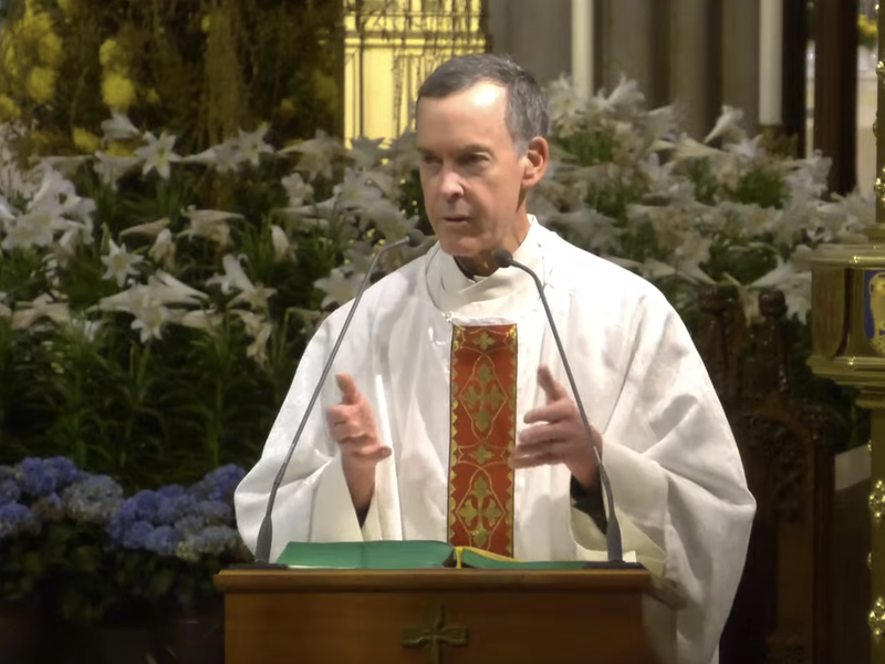 Fr. Donald Haggerty’s Homily: May 8, 2025