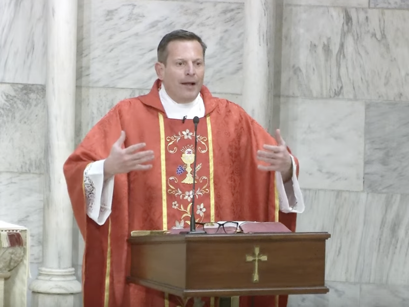 Fr. Enrique Salvo’s Homily: November 23, 2024