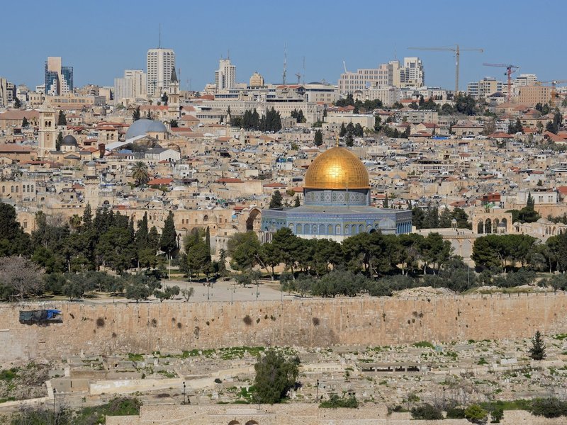 Peace and Respect for Human Life and Dignity is the Foundation for Peace, Says Archbishop Broglio