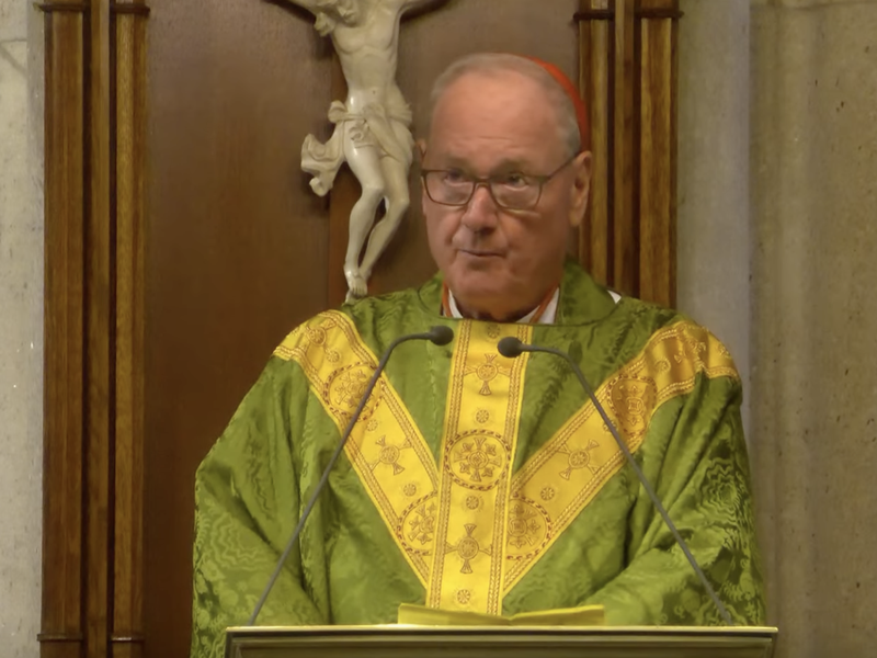Cardinal Dolan's Homily: November 10, 2024