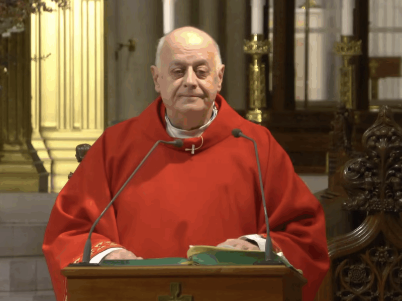 Msgr. LaMorte's Homily: November 26, 2025