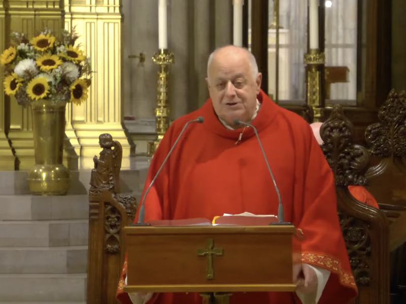 Msgr. LaMorte's Homily: October 9, 2024