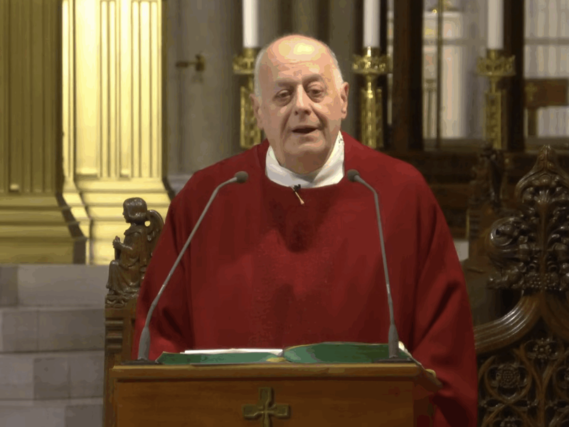 Msgr. LaMorte's Homily: November 12, 2025