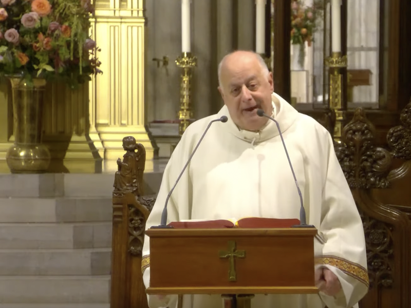 Msgr. LaMorte's Homily: October 4, 2024