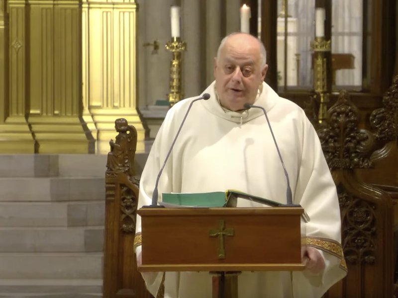 Msgr. LaMorte's Homily: December 11, 2024